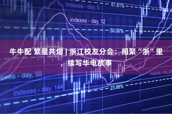 牛牛配 繁星共熠 | 浙江校友分会：相聚“浙”里，续写华电故事